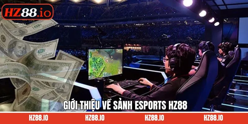 Thông tin sơ lược về sân chơi cá cược thể thao thú vị 