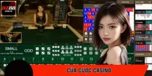 Các Cửa Cược Casino Có Tỷ Lệ Ăn Cao Nhất Hiện Nay Tại HZ88