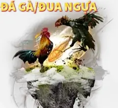 Đá gà đua ngựa