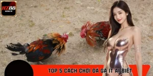 Bật Mí Top 5 Cách Chơi Đá Gà Ít Ai Biết Từ Các Cao Thủ HZ88