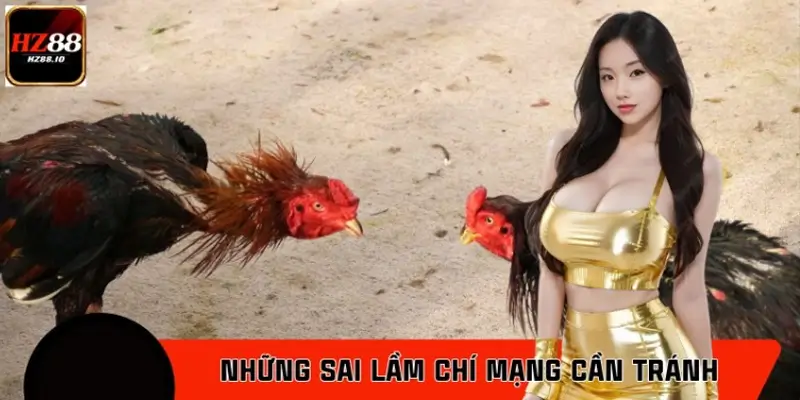 Những sai lầm chí mạng cần tránh khi chơi gà đá